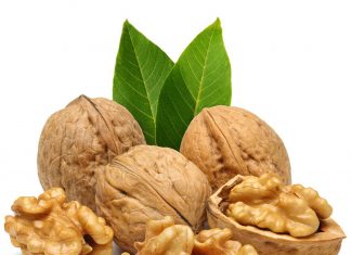 SAÇ DÖKÜLMESİNE SON