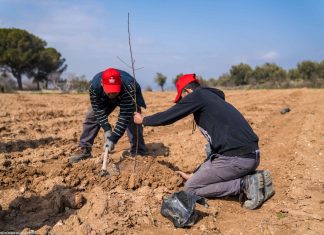 KURAKLIK İÇİN TARIM DANIŞMA HATTI – SERAP GÜNEY