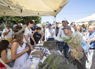 LAVANTA İŞLEME TESİSİ MÜJDESİ