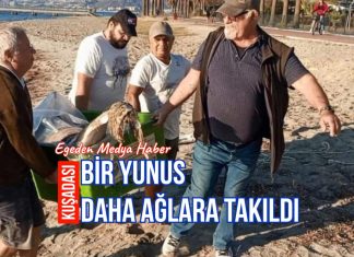 DÜŞLER YAKASINDA BİR YUNUS DAHA