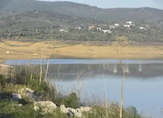 BODRUM YARIMADASI KURAKLIK TEHDİTİ ALTINDA!
