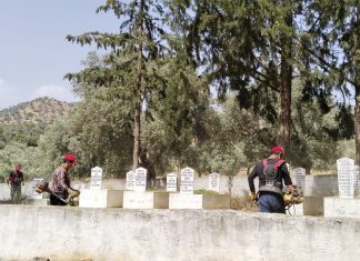EFELER BELEDİYESİ EKİPLERİNDEN MEZARLIKLARDA KAPSAMLI ÇALIŞMA