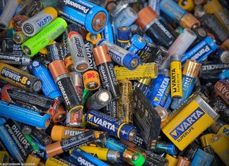 5 HAZİRAN DÜNYA ÇEVRE GÜNÜ ETKİNLİKLERİ