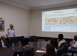 MUĞLA’DA BU YIL 178 YANGIN MEYDANA GELDİ