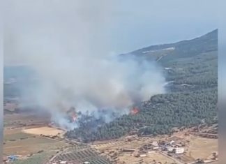 MANİSA’DA ORMAN YANGINI!