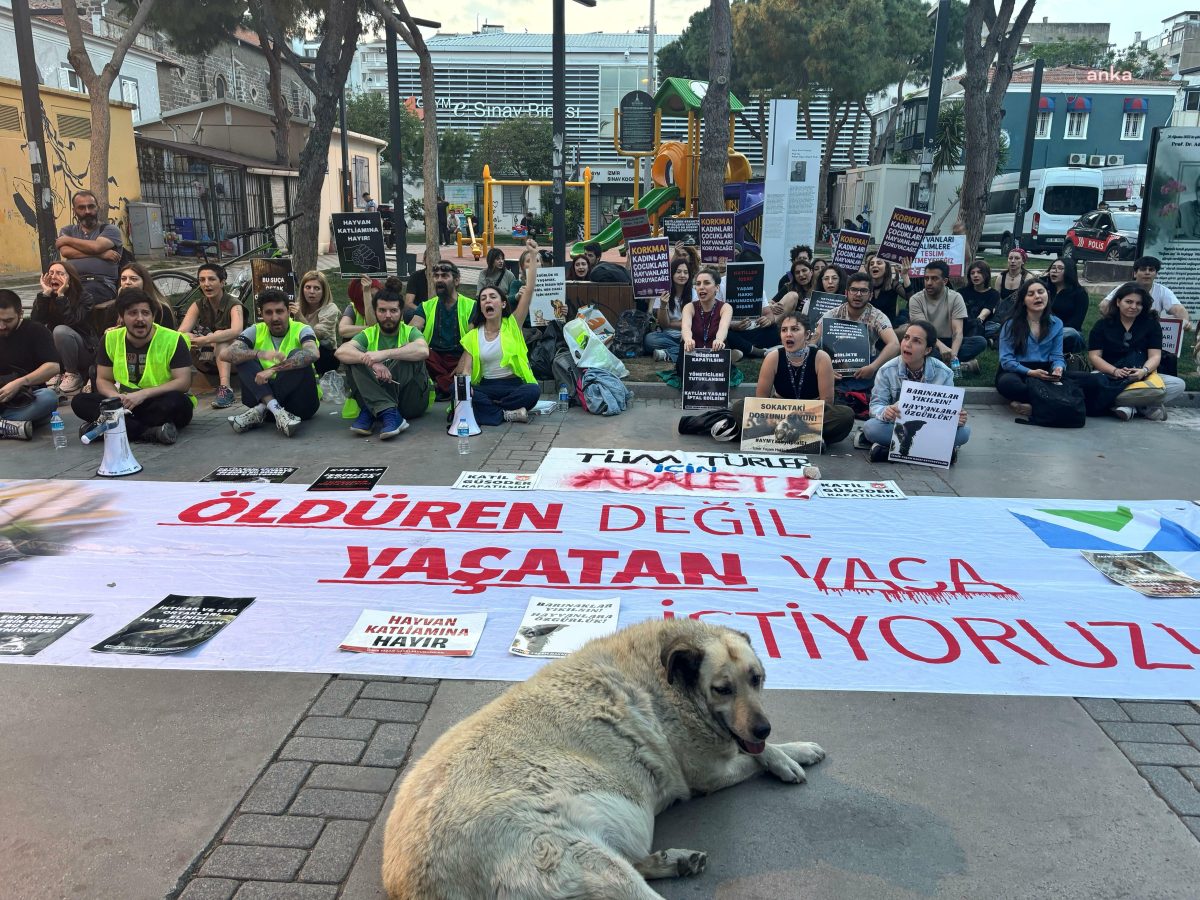 Anayasa Mahkemesi, bugün yaşamı değil ölümü tercih etmiştir