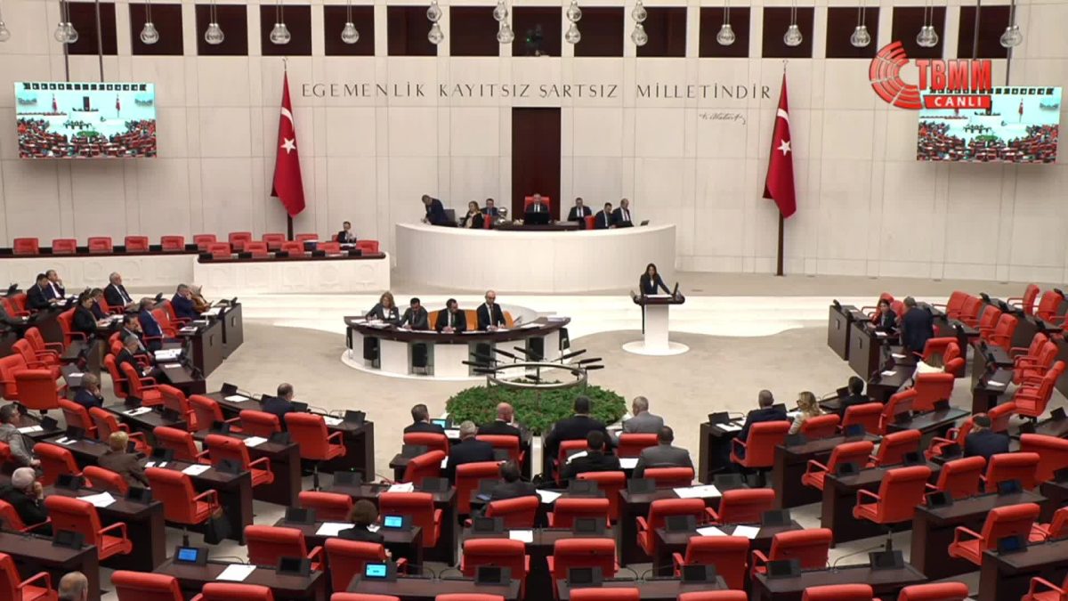 Aysu Bankoğlu: “Türkiye Cumhuriyeti devleti barışçıl gösteri yapan gençleri hapse atan intikamcı bir yönetime dönüştü”