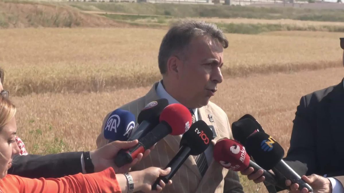 Özdağ’ın tutukluluk halinin hukukla kanunlarla bir ilgisi yoktur