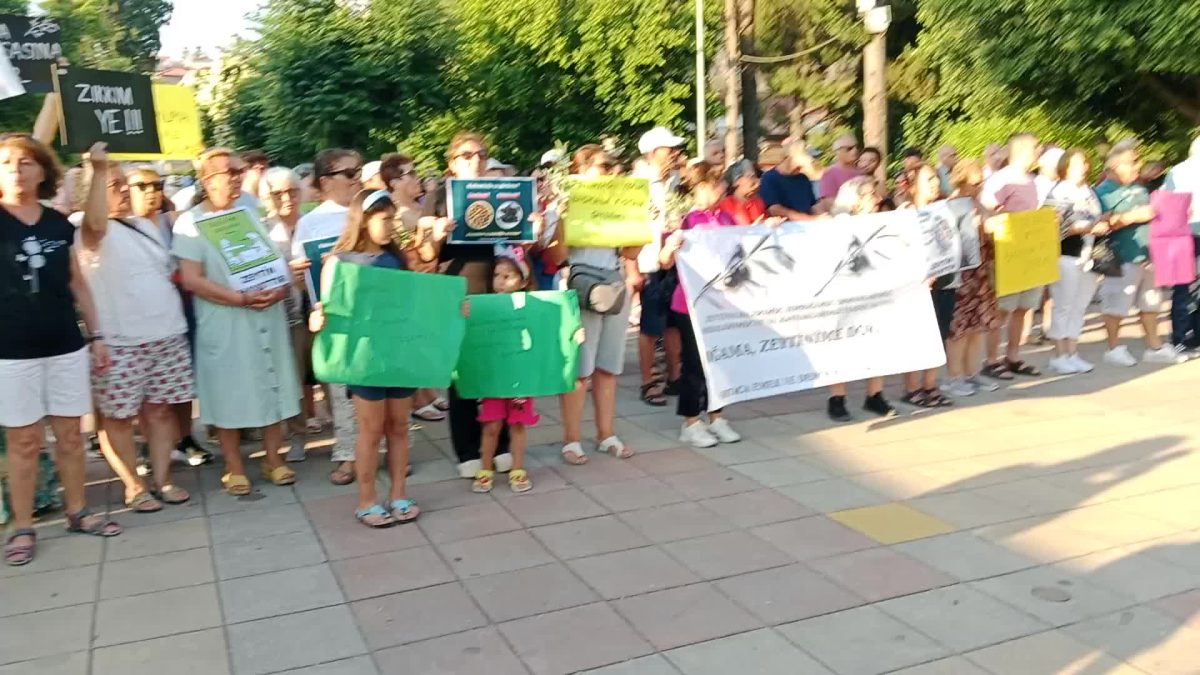 Muğla’da zeytinlik yasasına tepki