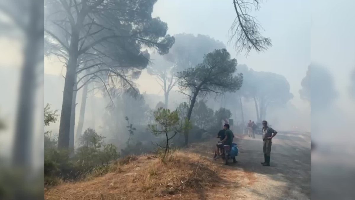 Bergama’da orman yangınına müdahale ediliyor