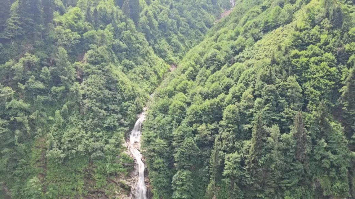 Çevreciler Aydın’dan Karadeniz’e seslendiler: “Havama, suyuma, toprağıma dokunma”