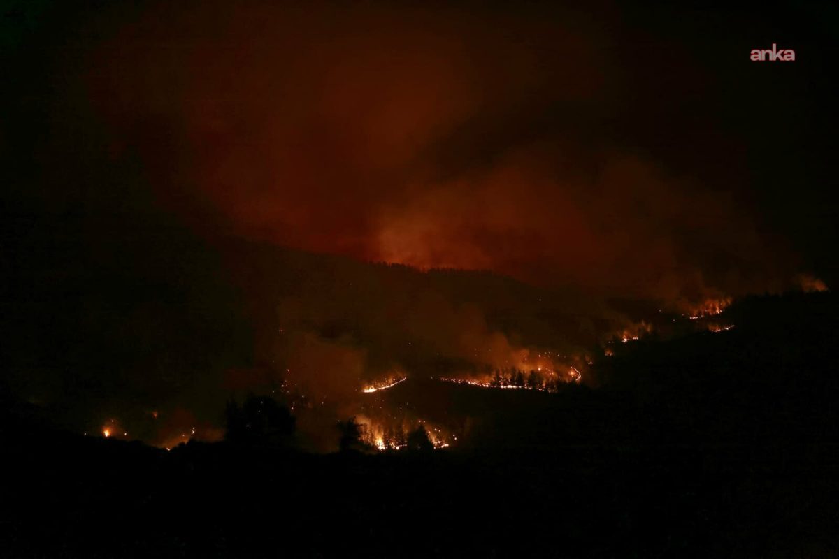 Denizli’de çıkan orman yangınına müdahale sürüyor