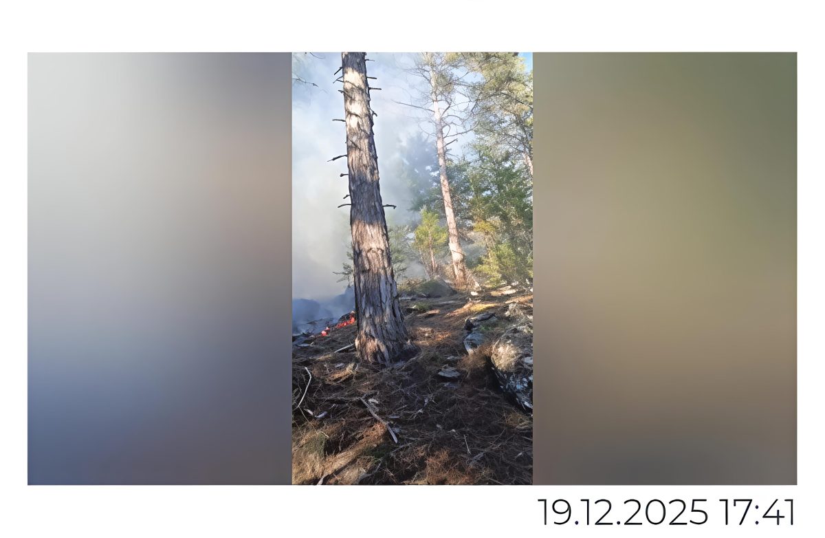 Aydın’da orman yangını… 13 dönüm alan zarar gördü