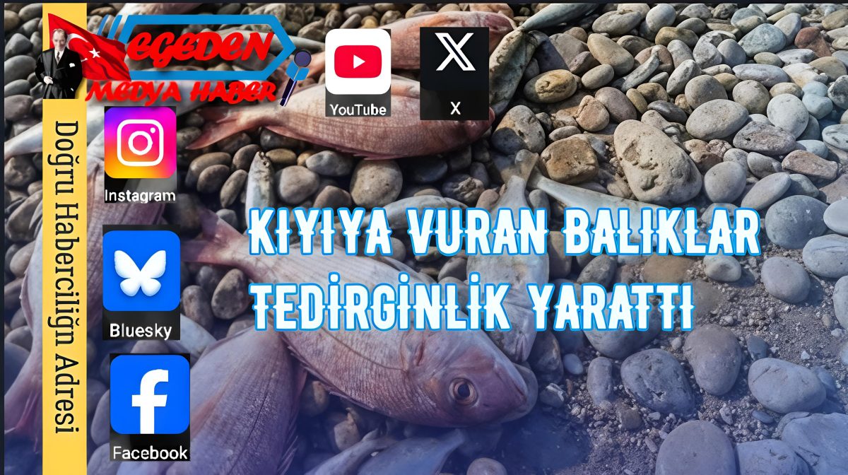 DATÇA’DA SAHİLDE KORKUTAN MANZARA