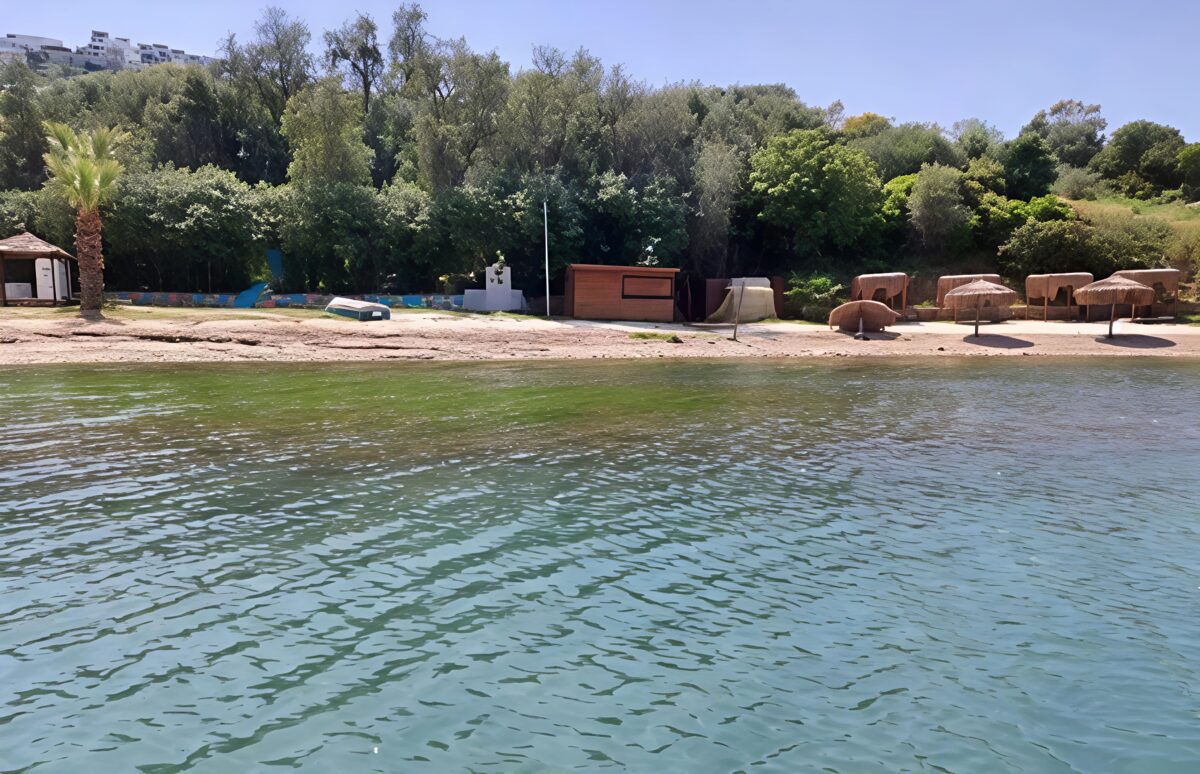 Milas Boğaziçi’ndeki balıkçı barınağı projesinin ÇED süreci sonlandırıldı