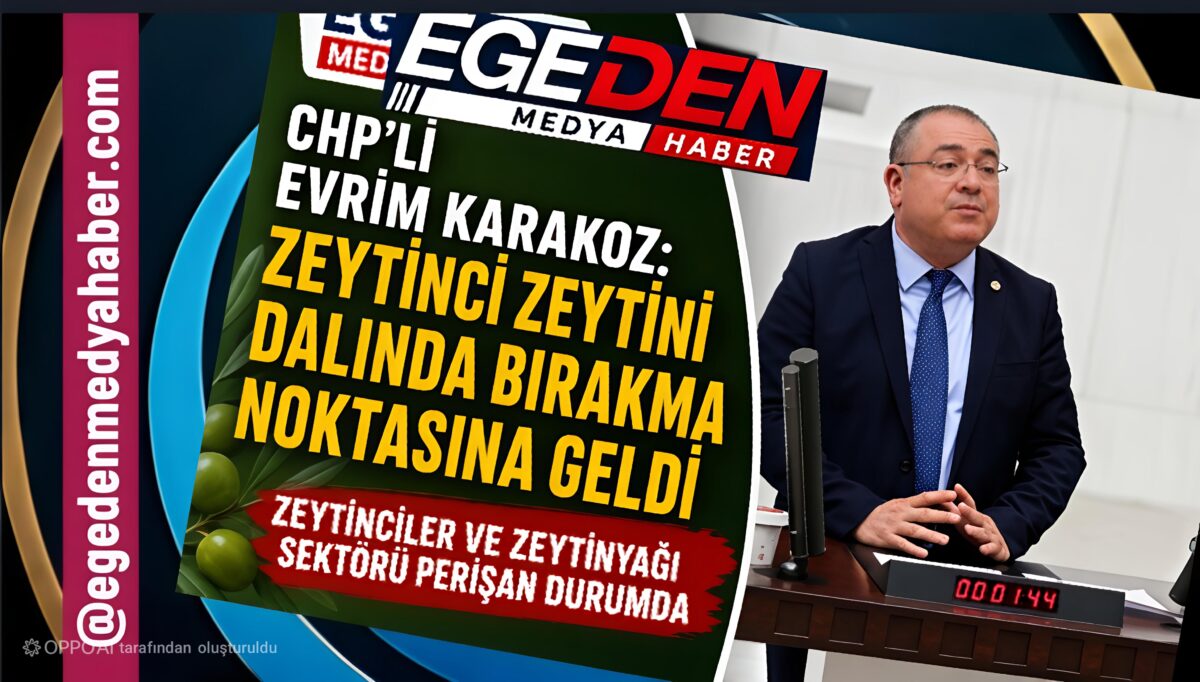 CHP’li Evrim Karakoz TBMM’de İsyan Etti