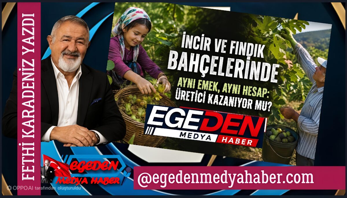 İncir ve fındık bahçelerinde aynı soru: Üretici kazanıyor mu?