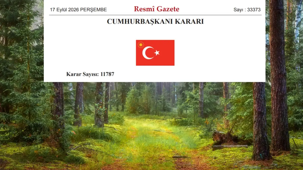 27 İLDE BAZI ALANLAR ORMAN SINIRI DIŞINA ÇIKARILDI