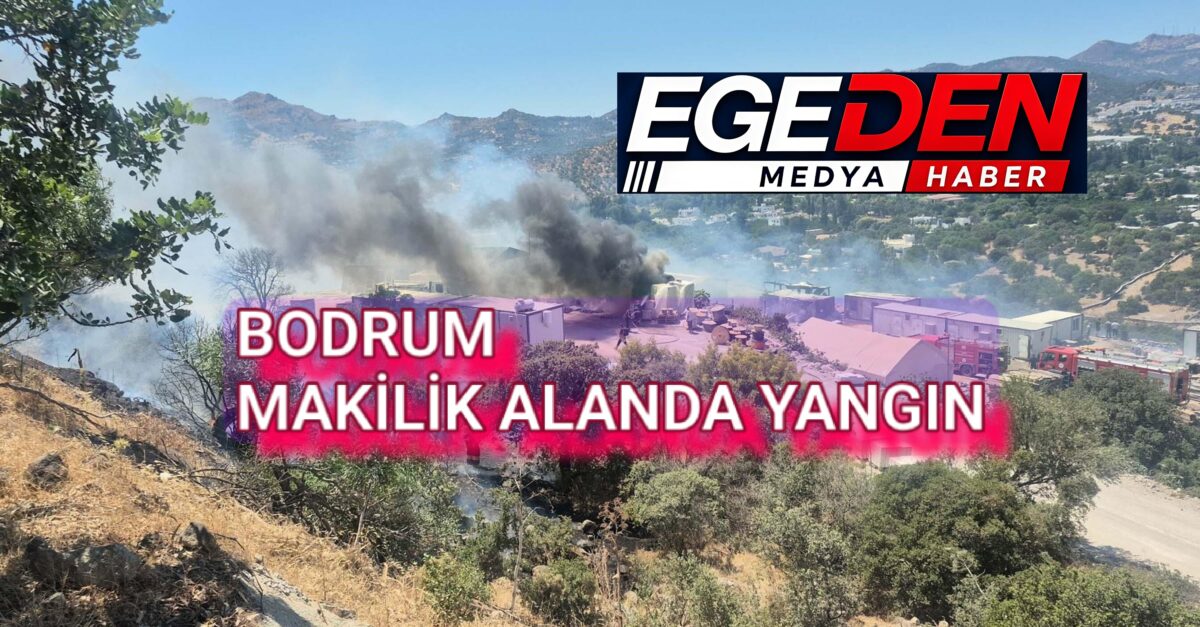 Bodrum’da makilik alanda yangın: Alevler kontrol altına alındı